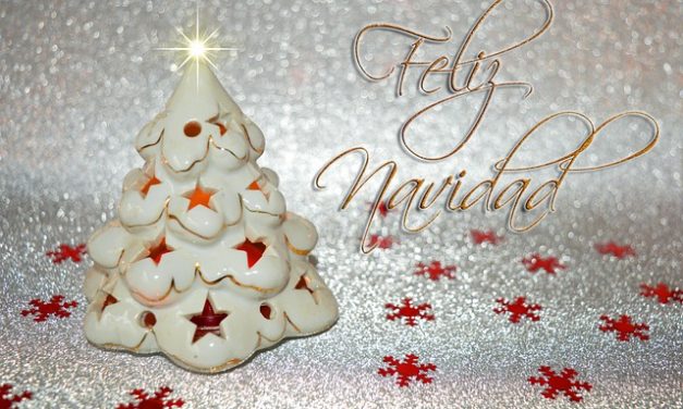 Zusatztermin zur GV-Junior Akademie: 17. Dezember 2022      ¡Feliz Navidad y Prospero Año Nuevo!